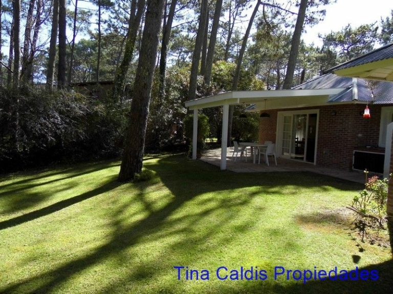 768